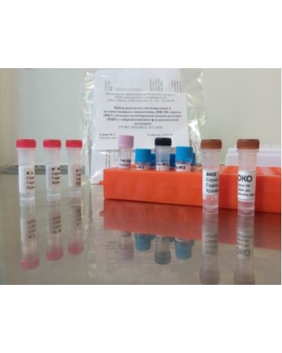 Набор реагентов для выявления и количественного определения ДНК ВК вируса (ВКV) методом ПЦР с гибридизационно-флюоресцентной детекцией 