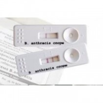 Набор реагентов для иммунохроматографического экспресс-выявления и идентификации  спор возбудителя сибирской язвы «ИХ тест B.anthracis» 3 теста.