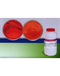 Ксилоза-лизин-деоксихолатный агар (ХLD-агар) 500 г. 